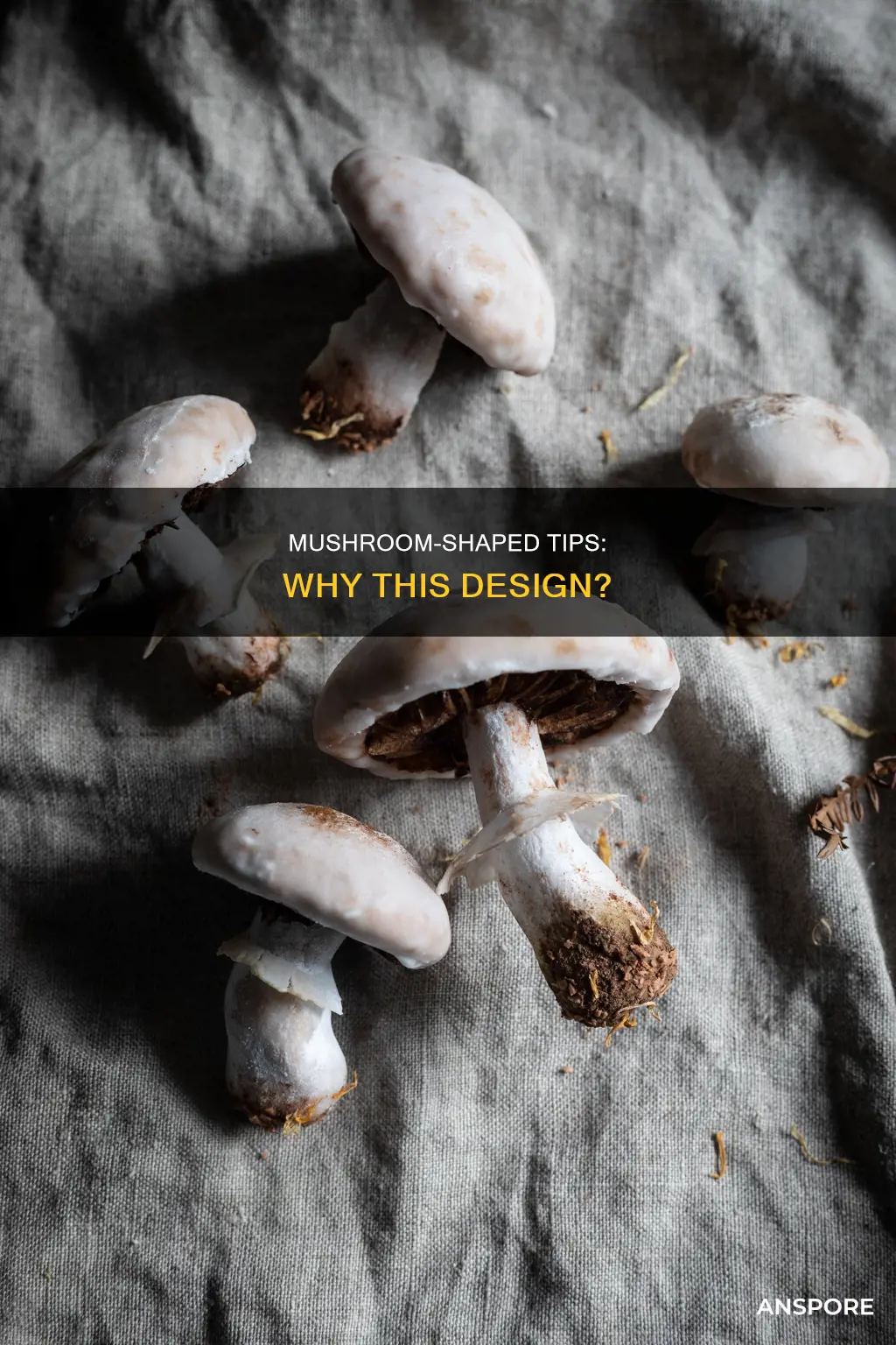 why are tips mushroom shaped