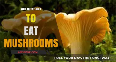 Exploring the Edible World of Mushrooms: Why They're Safe to Eat