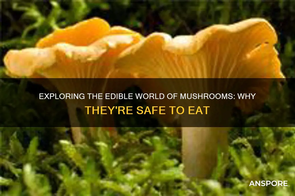 why are we ablr to eat mushrooms