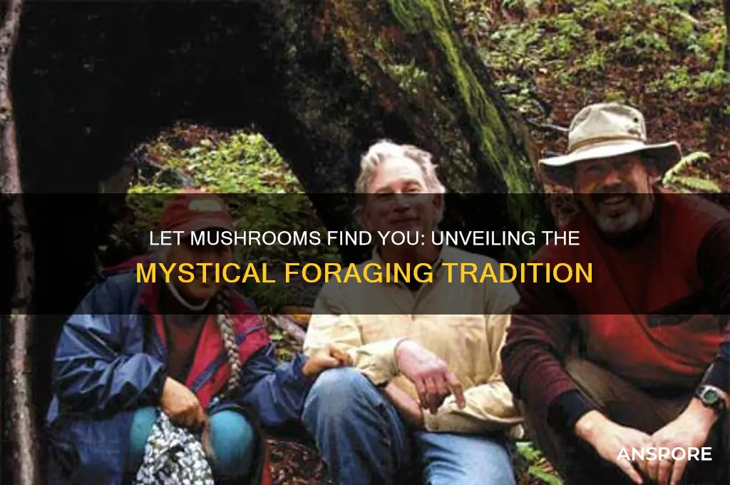 why are you suppose to let mushrooms find you