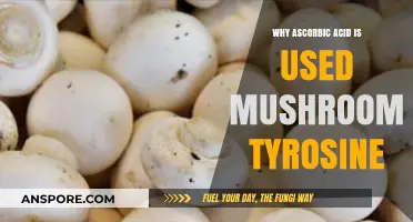 Ascorbic Acid's Role in Mushroom Tyrosine Production Explained