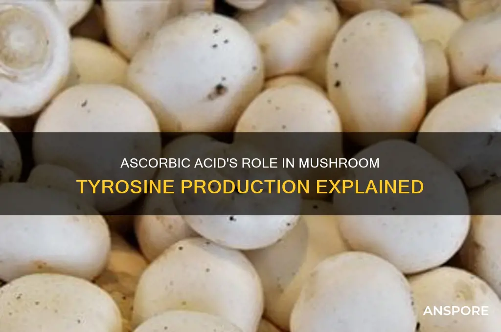 why ascorbic acid is used mushroom tyrosine