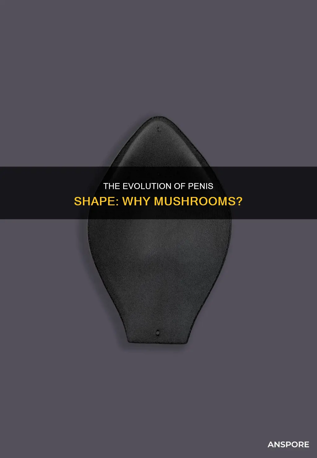 why ate penises mushroom shaped