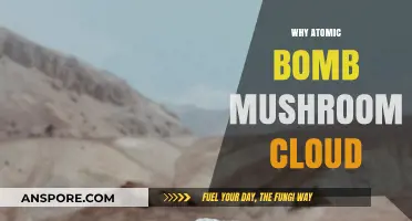 How Atomic Bombs Create Mushroom Clouds