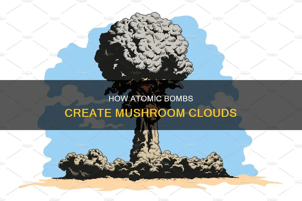 why atomic bomb mushroom cloud
