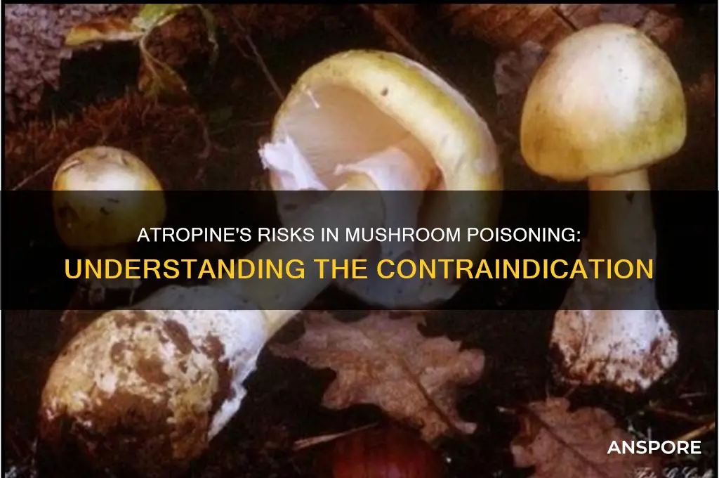 why atropine is contraindicated in mushroom poisoning