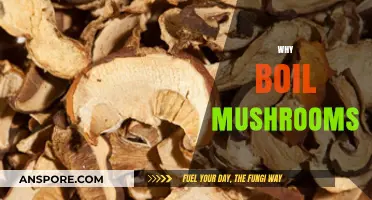 Unlocking Mushrooms' Power: Boiling Method