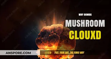 Understanding the Mushroom Cloud Formation Post Bomb Explosions