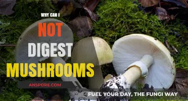 Mushroom Digestion Woes: Unraveling the Mystery Behind Your Stomach's Struggle