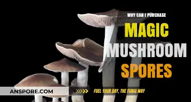 Exploring the Legal Loophole: Why Magic Mushroom Spores Are for Sale
