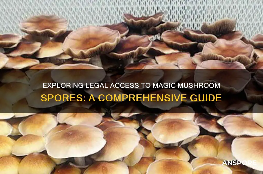 why can i purchase magic mushrooms spres