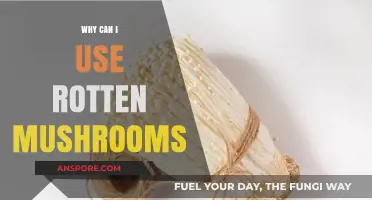Using Rotten Mushrooms: Surprising Benefits and Creative Culinary Ideas
