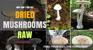 Why Raw Dried Mushrooms Are Unsafe to Eat: Key Risks Explained