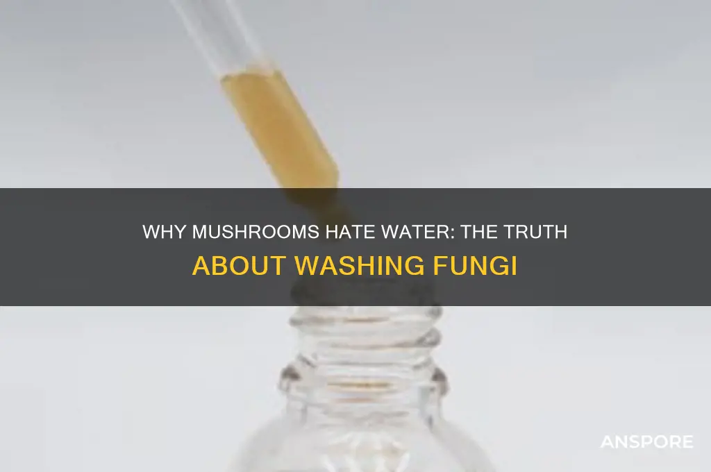 why can t you wash mushrooms