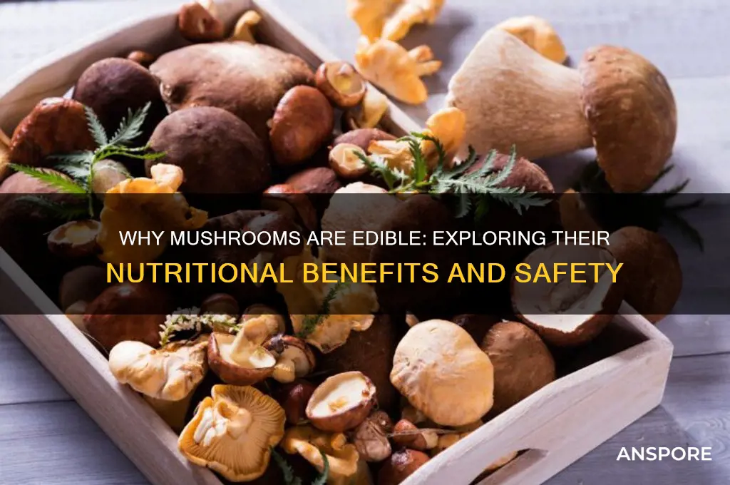 why can we eat mushrooms