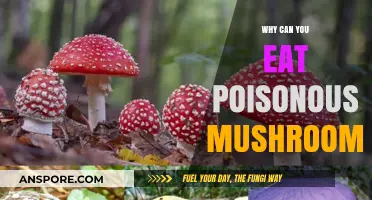 Toxic Treats: Understanding Why Some Poisonous Mushrooms Are Edible