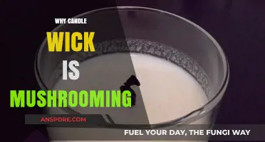 Candle Wick Mushrooming: Why and How to Prevent It