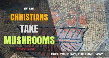 Christians and Mushrooms: A Forbidden Union