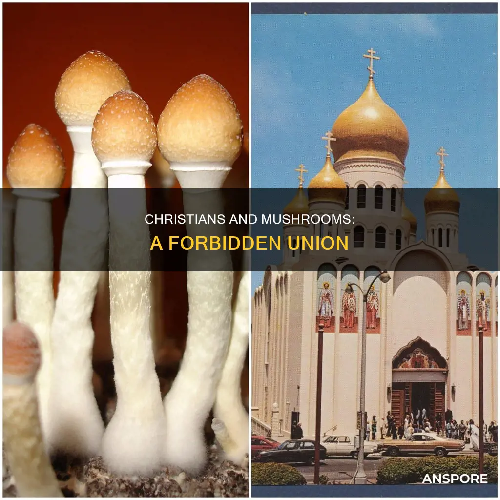 why cant christians take mushrooms