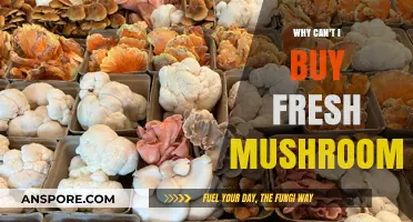 Why Fresh Mushrooms Are Hard to Find: A Shopper's Dilemma