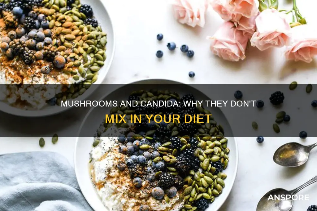 why cant i eat mushrooms with a candida overgrowth