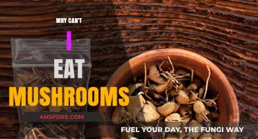 Why Mushrooms Might Not Be Your Friend: Uncovering Hidden Risks