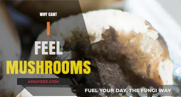 Mushrooms: Why Do Some People Feel Nothing?