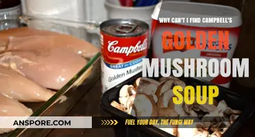 Where Did Campbell's Golden Mushroom Soup Go? Finding Answers