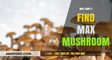 Why Max Mushrooms Elude You: Uncovering the Hidden Challenges