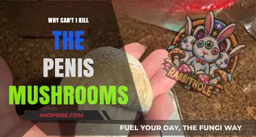 Why Can't I Kill Penis Mushrooms? Understanding Their Resilience
