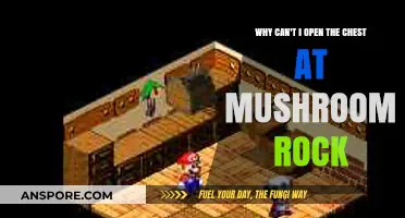 Unlocking Mushroom Rock's Chest: Troubleshooting Tips for Gamers