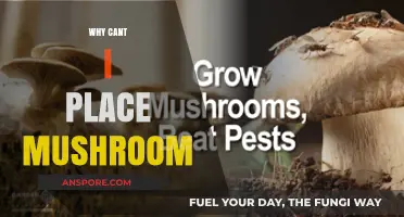 Mushroom Placement: Why the Challenge?