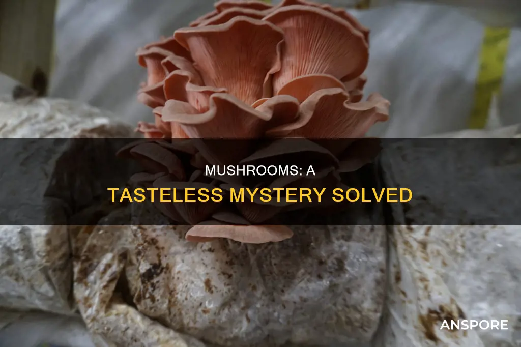 why cant i taste mushrooms