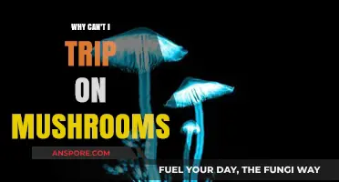 Why Can't I Trip on Mushrooms? Exploring the Science Behind Psilocybin Resistance