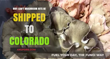Why Colorado Bans Shipping Mushroom Kits: Legal and Safety Concerns