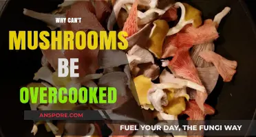 Mushrooms' Delicate Nature: Why Overcooking Ruins Their Texture and Flavor