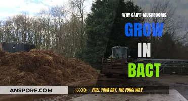 Why Mushrooms Struggle to Thrive in Bacterial Environments: Key Factors Explained