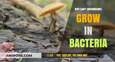 Mushrooms vs. Bacteria: Unraveling the Incompatible Growth Conditions