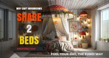 Mushrooms' Bed Boundaries: Why Sharing Space Isn't an Option