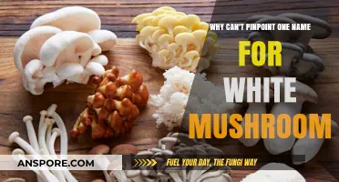 The Elusive Identity of White Mushrooms: Why One Name Doesn't Fit All
