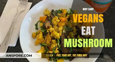 Debunking the Myth: Why Mushrooms Are Vegan-Friendly Superfoods