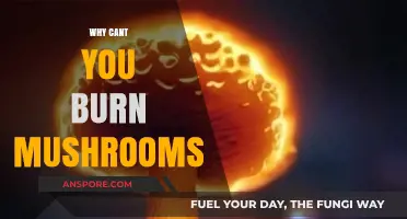 The Magic of Mushrooms: Fireproof Fungi