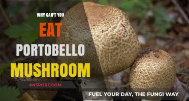 Why Portobello Mushrooms Aren't Always Safe to Eat: Key Risks Explained