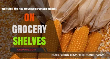 Why Mushroom Popcorn Kernels Remain Elusive on Grocery Shelves