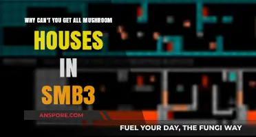 SMB3 Mushroom Houses: Unlocking the Mystery of Missing Rewards