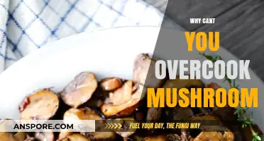 Mushrooms: Cooking Time and Perfect Taste
