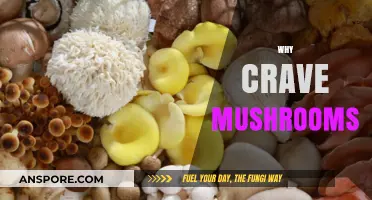 Mushrooms: Nature's Meat with a Unique Taste