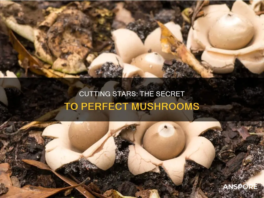 why cut star into mushroom