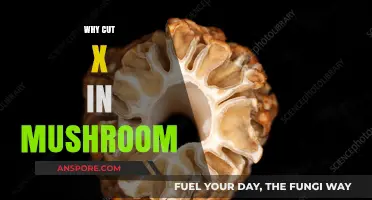 Mushroom Magic: Why Cut the X