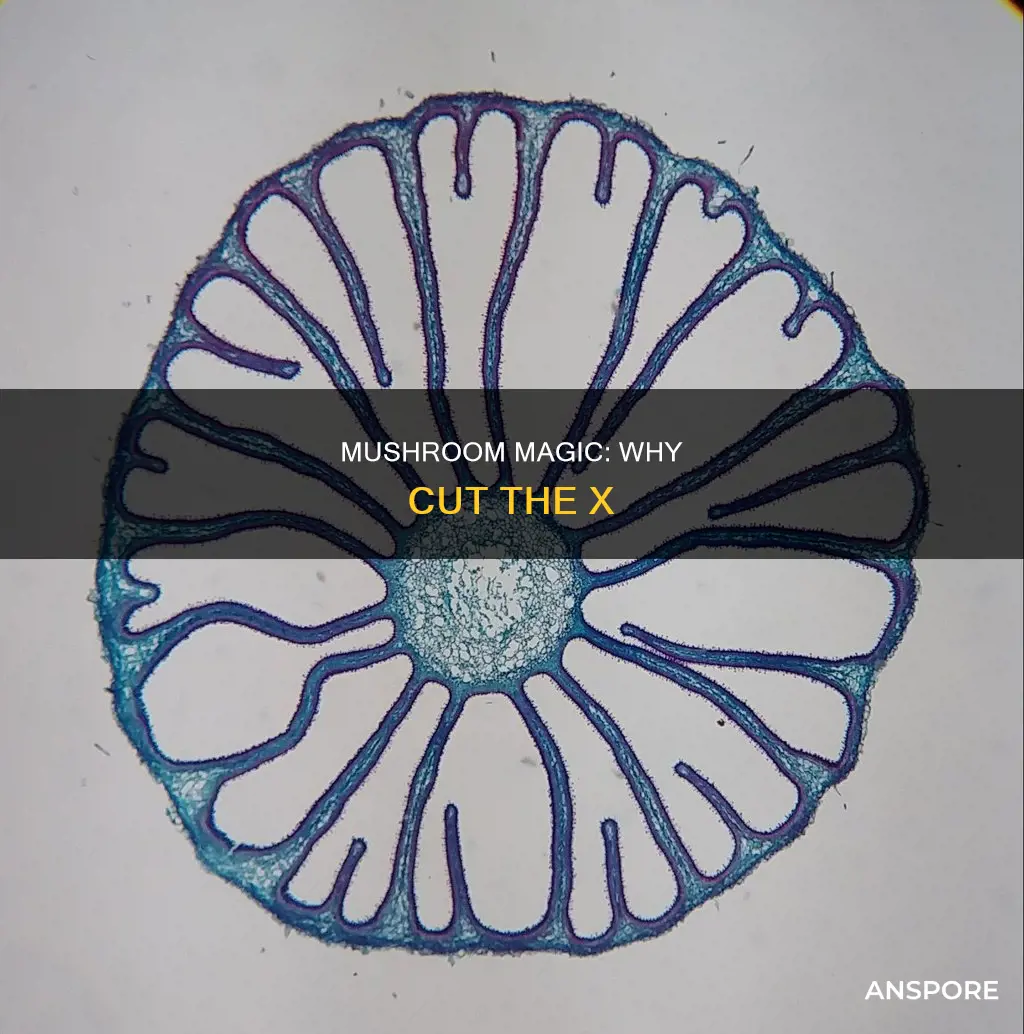 why cut x in mushroom